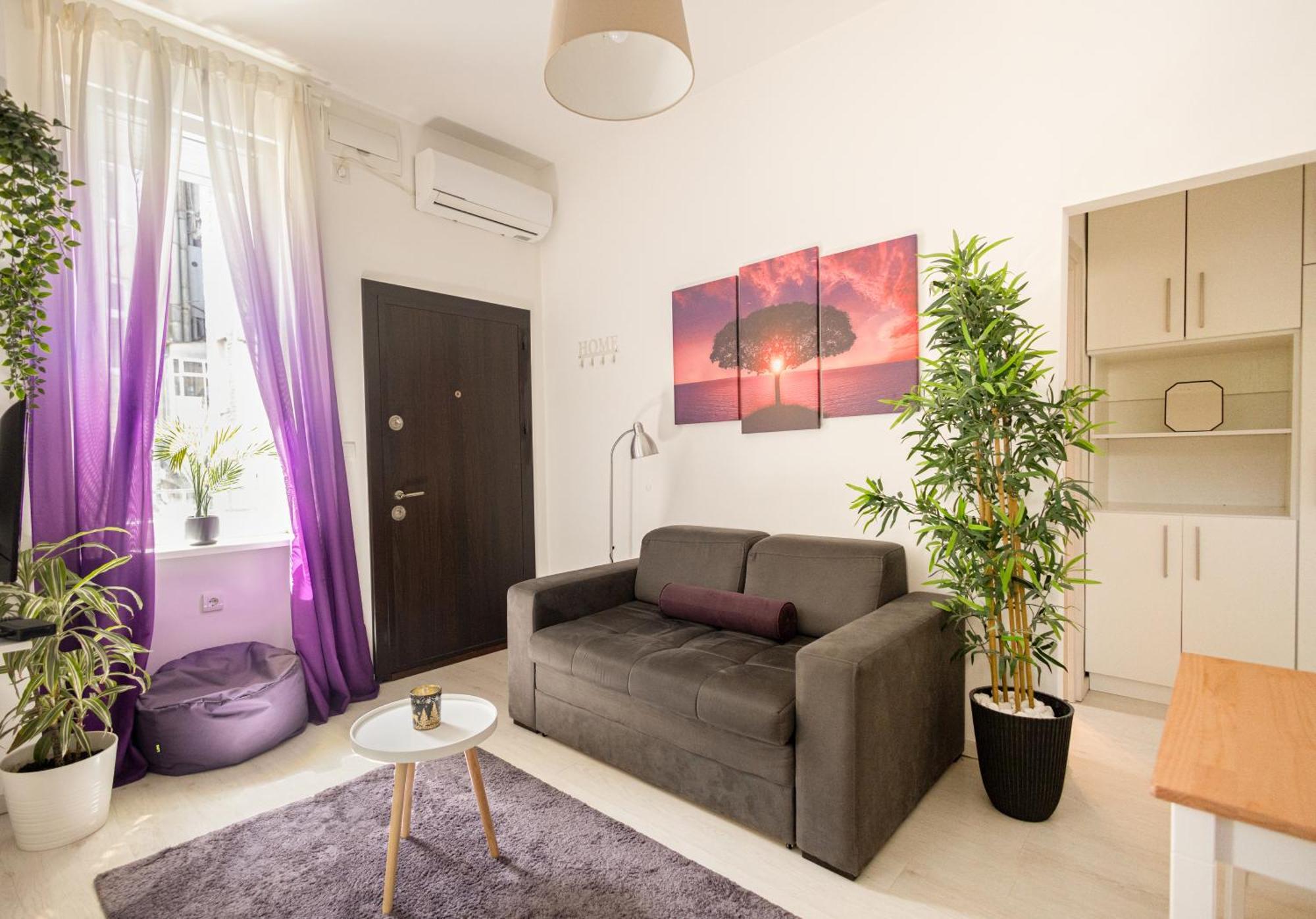 Rooster Apartments 贝尔格莱德 外观 照片